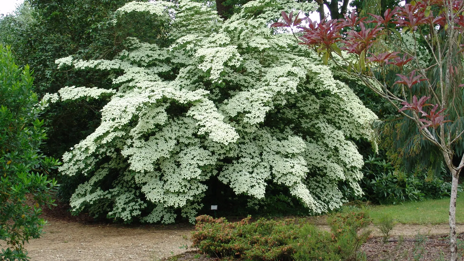 Parc Botanique de Cornouaille et musée des minéraux