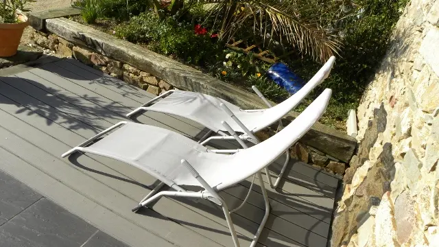 Run ar Marec myosotis 7