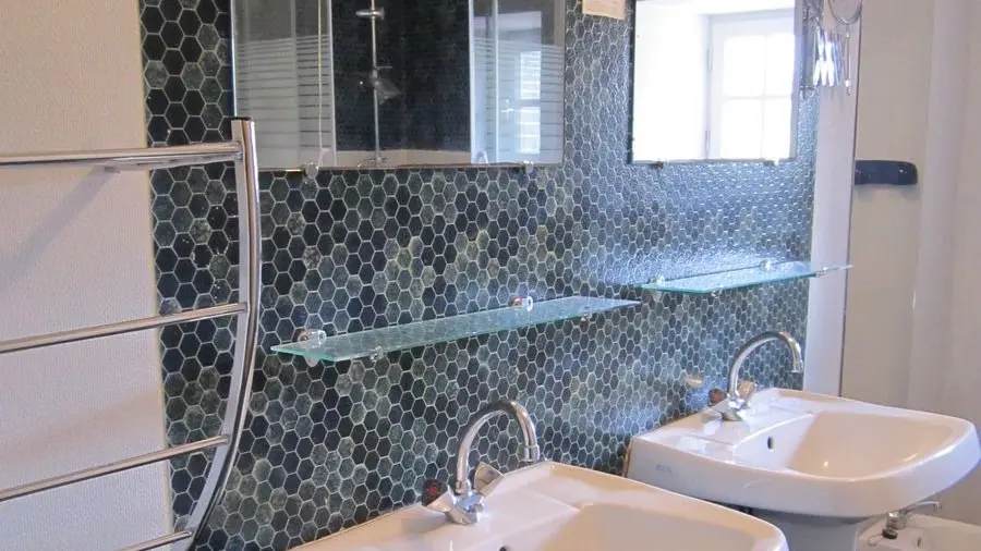 De la Brosse Maner Coz (4)