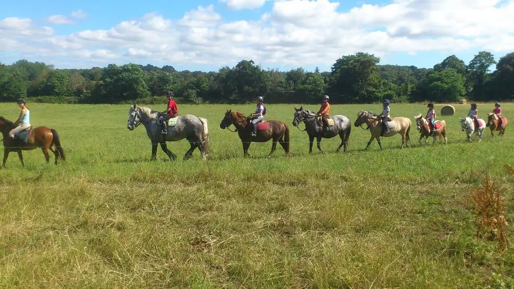 Douarnenez-centre-equestre-Bretagne-2