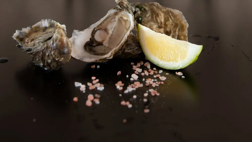 Entre Nous - Guilvinec - Pays bigouden