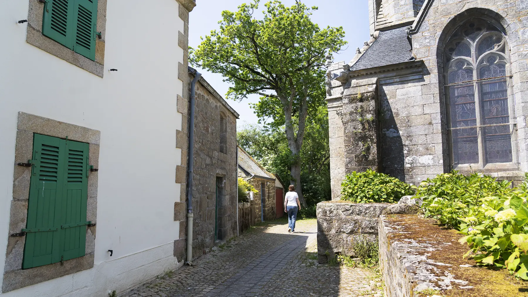 Elise FOURNIER-Le Juc'h-BD (3)