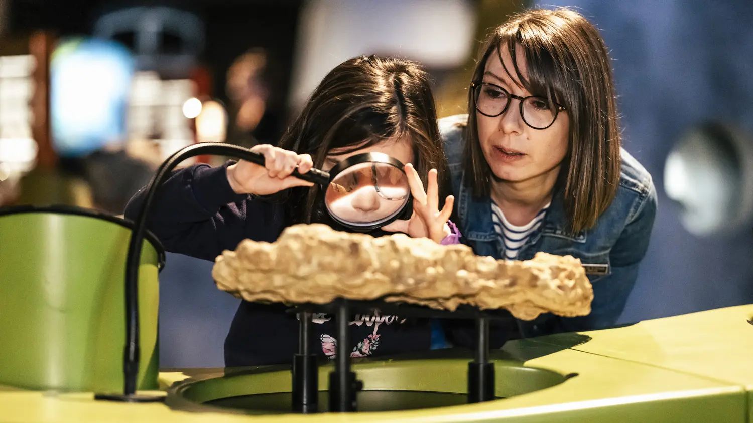 Espace-des-Sciences_©YvesQuere_HD_151