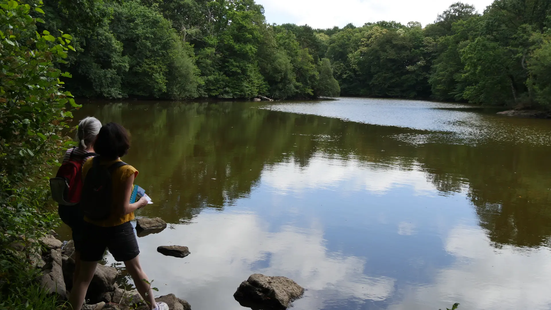 Etang Parc de la Higourdais