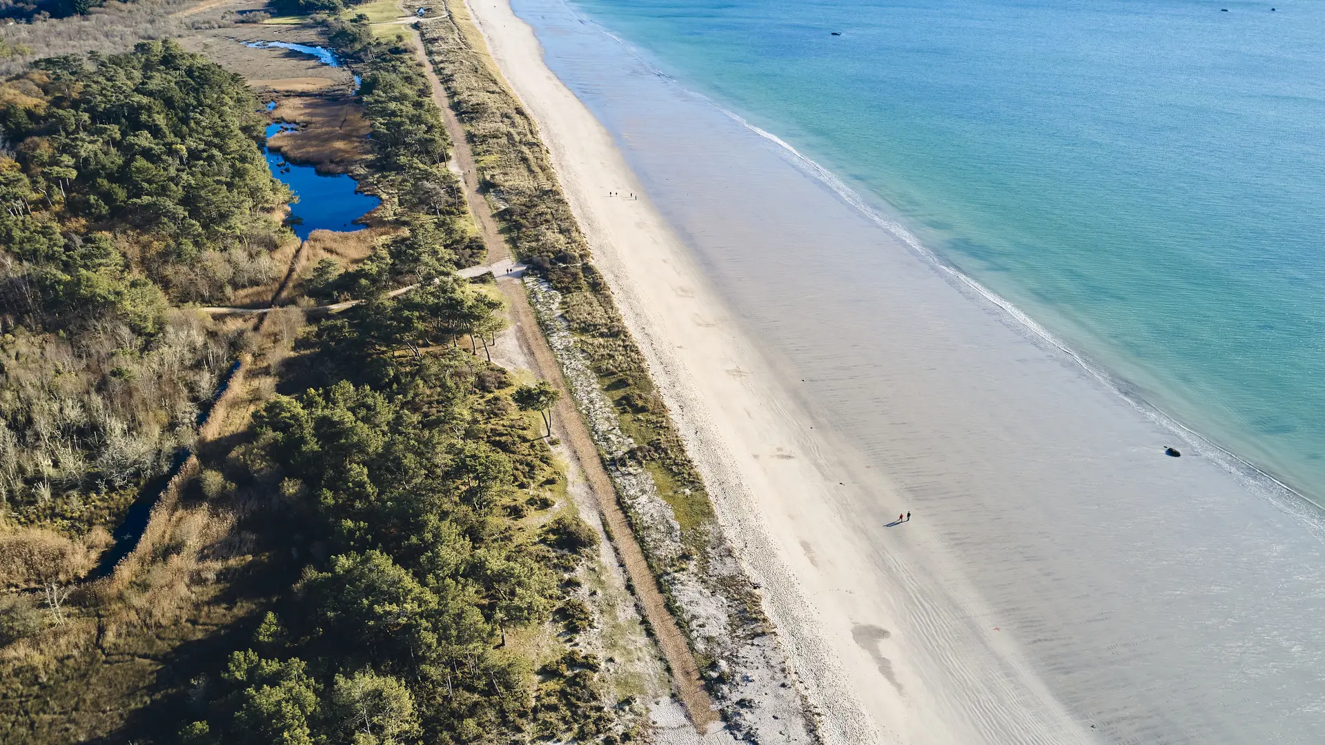 Plage et marais - Cleut Rouz