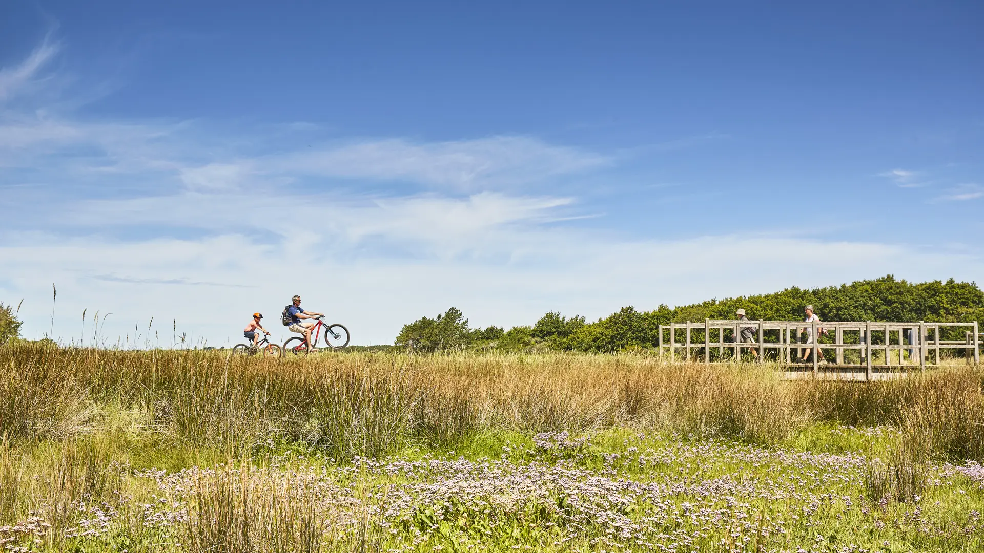 Marais vers accès plage de Kerler (47°51'16.5N 4°03'05.8W)
