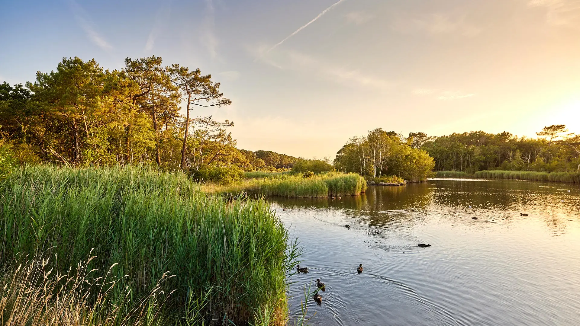 Marais de mousterlin