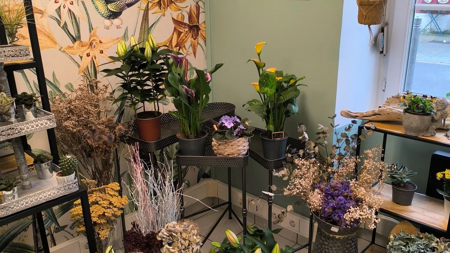 Fée de Fleurs - Guilvinec - Pays Bigouden - Bigoudenjoy