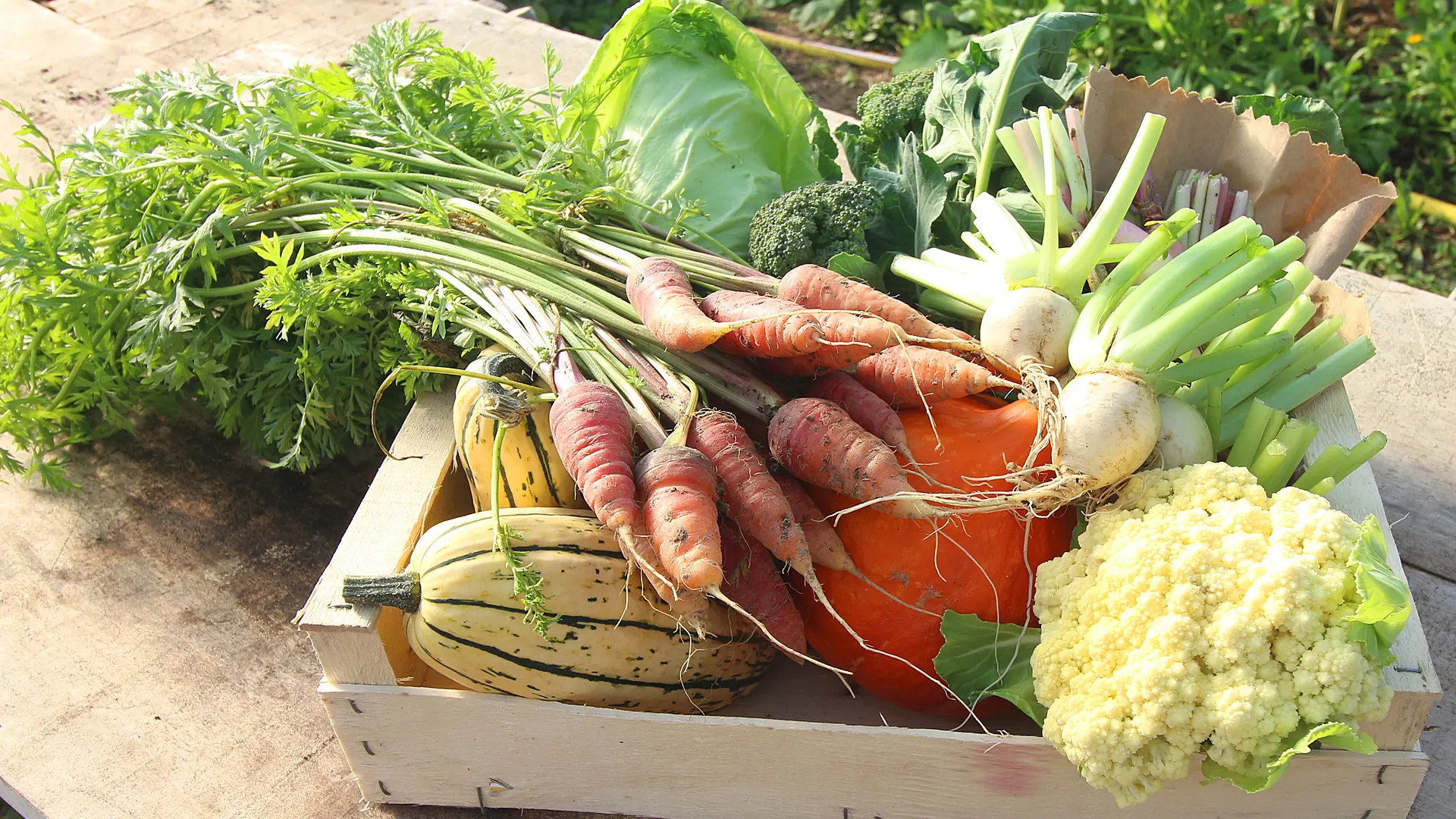 Ferme de Keranod (4)