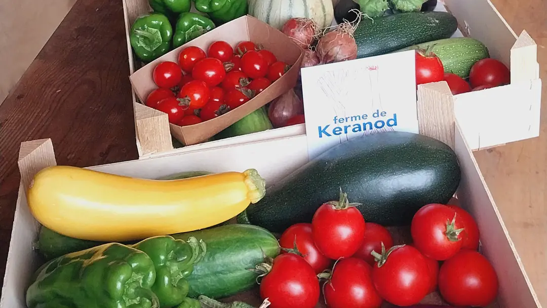 Ferme de Keranod (9)