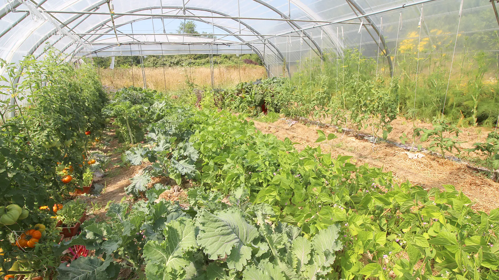 Ferme de Keranod (2)