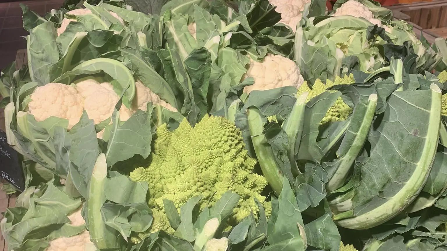 Ferme de Kerédern2024-5