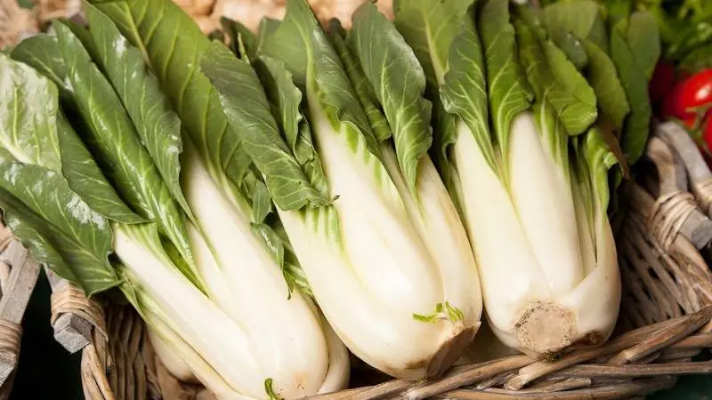 Ferme de Kerédern2024-6