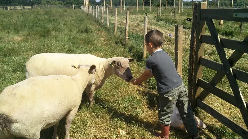 Ferme-de-Lanvern-Ploneour-Lanvern-Pays-Bigouden-1