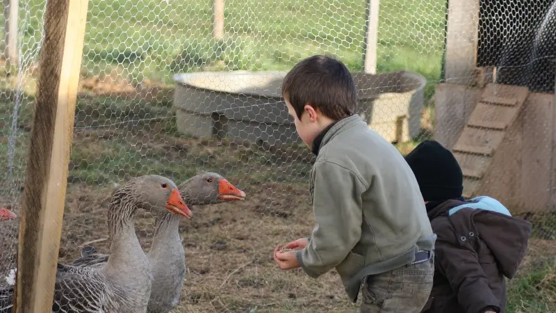 Ferme-de-Lanvern-Ploneour-Lanvern-Pays-Bigouden-2