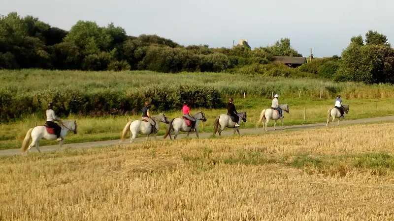 Centre équestre Ty Marc'h - Pouldreuzic - Bigoudenjoy
