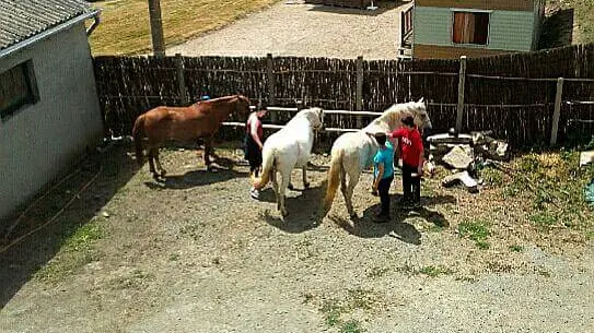 Centre équestre Ty Marc'h - Pouldreuzic - Bigoudenjoy