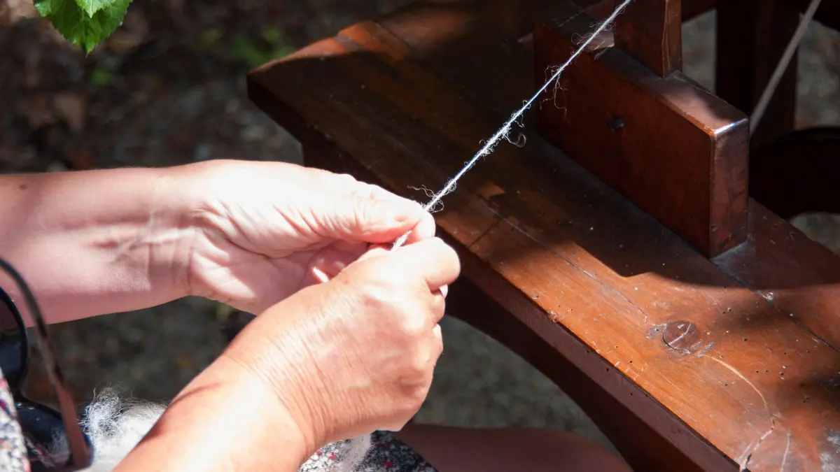 Filage de la laine au rouet à pédale