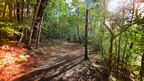 Rando Le Bois de Roscouré - Combrit - Pays Bigouden