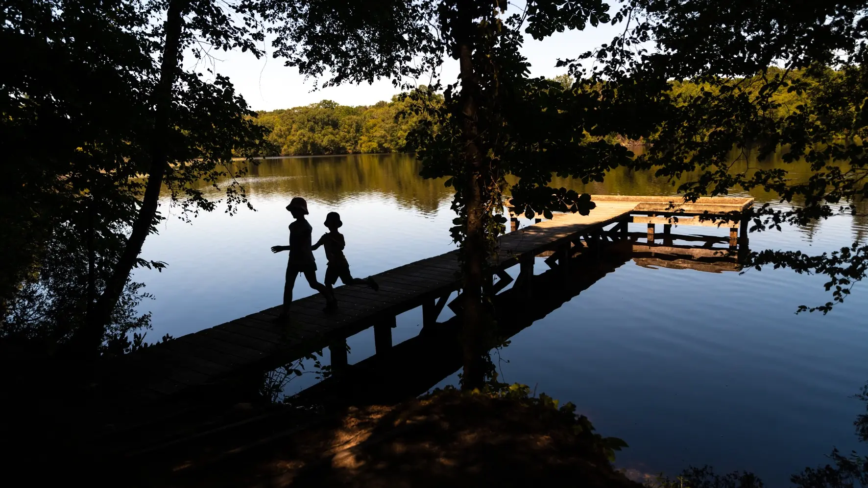 Forêt Corbière Ponton