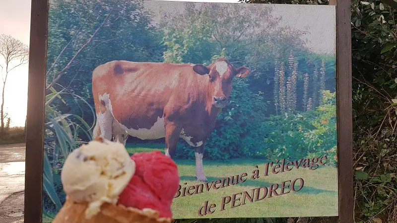 Glace de Pendreo - Plogastel Saint Germain - Pays Bigouden