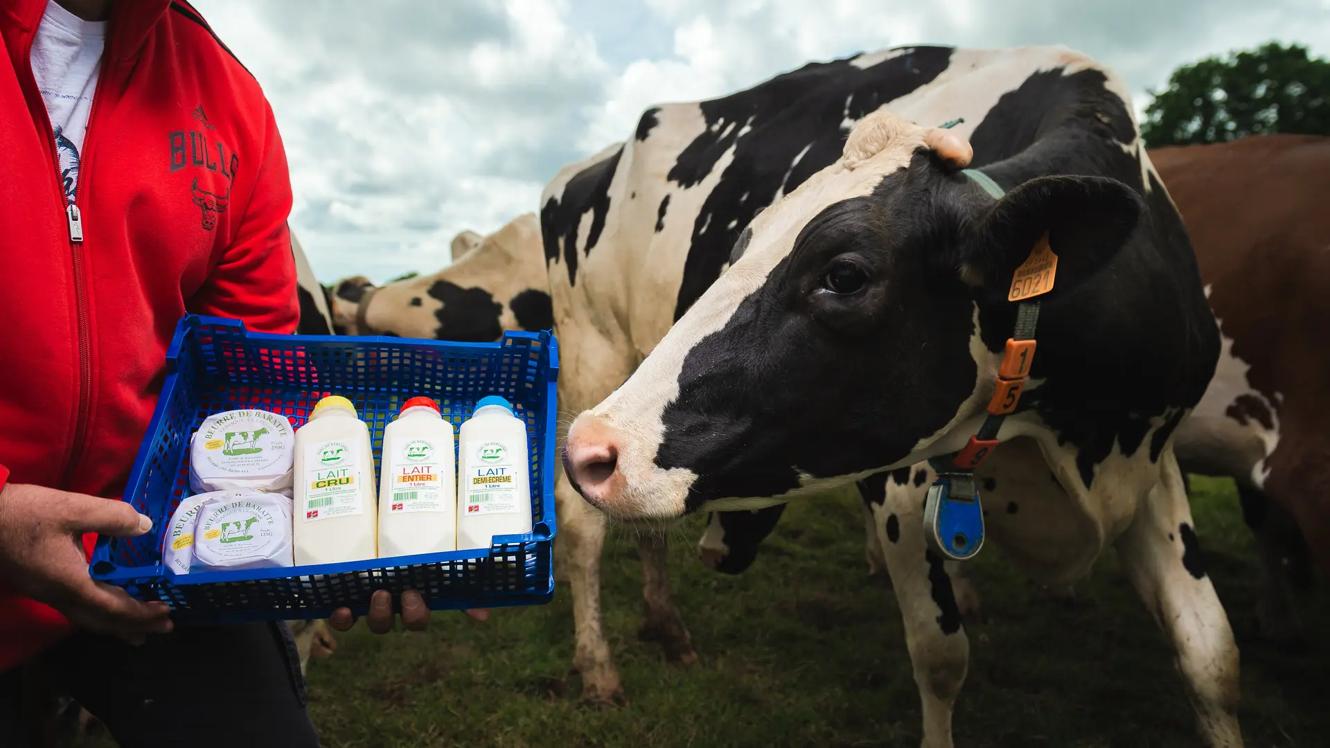 GAEC de Kervannes Plonéour Lanvern