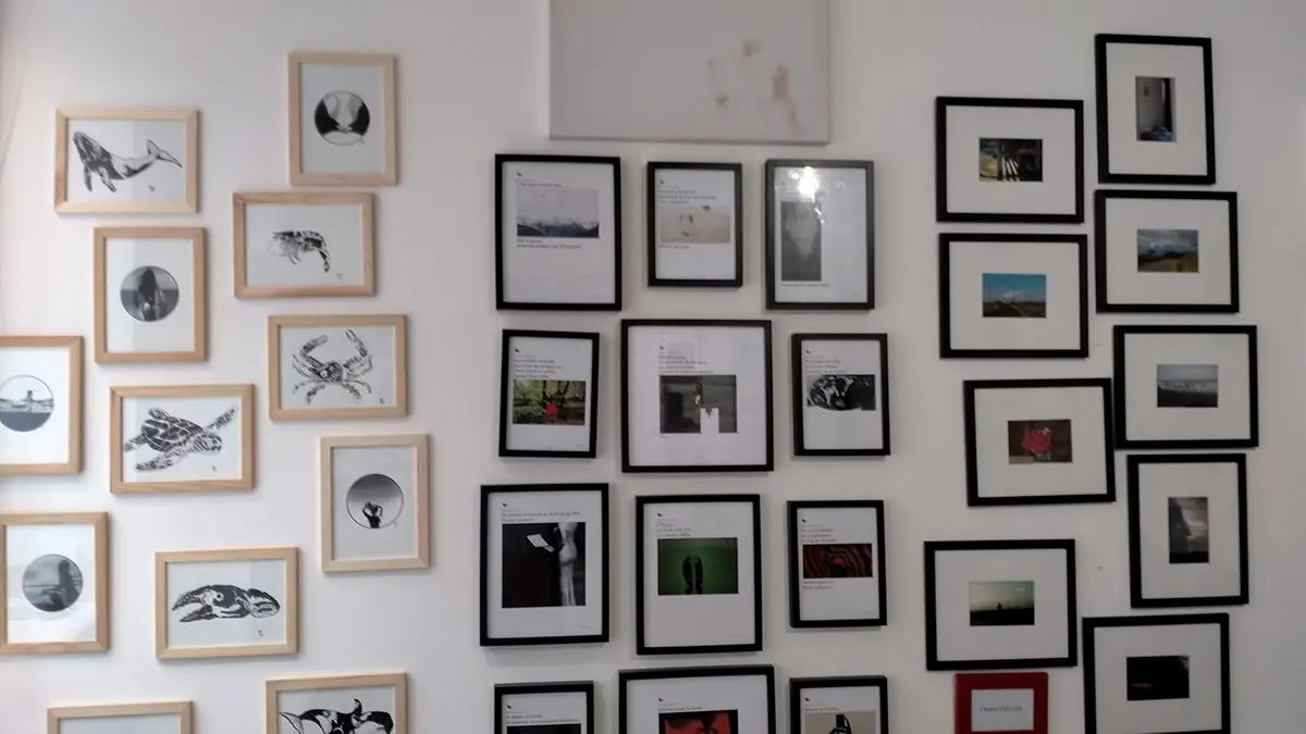 Galerie rouge - expositions - pont-l'Abbé - Pays Bigouden - 7