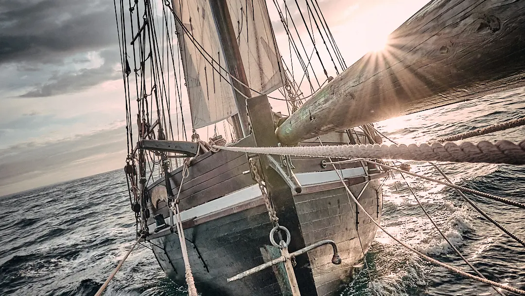 Grayhound_Jeremy_Starn_0_42-1740432700328