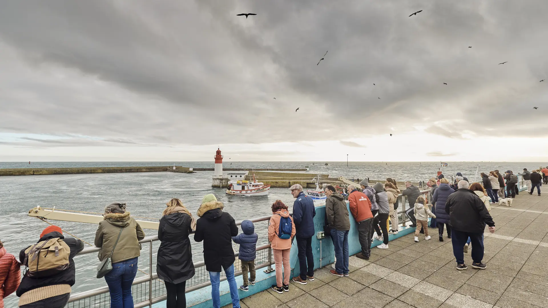 Retour de pêche - Guilvinec - Pays Bigouden