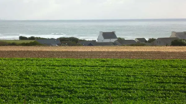 HLOBRE029AX00511_grande1