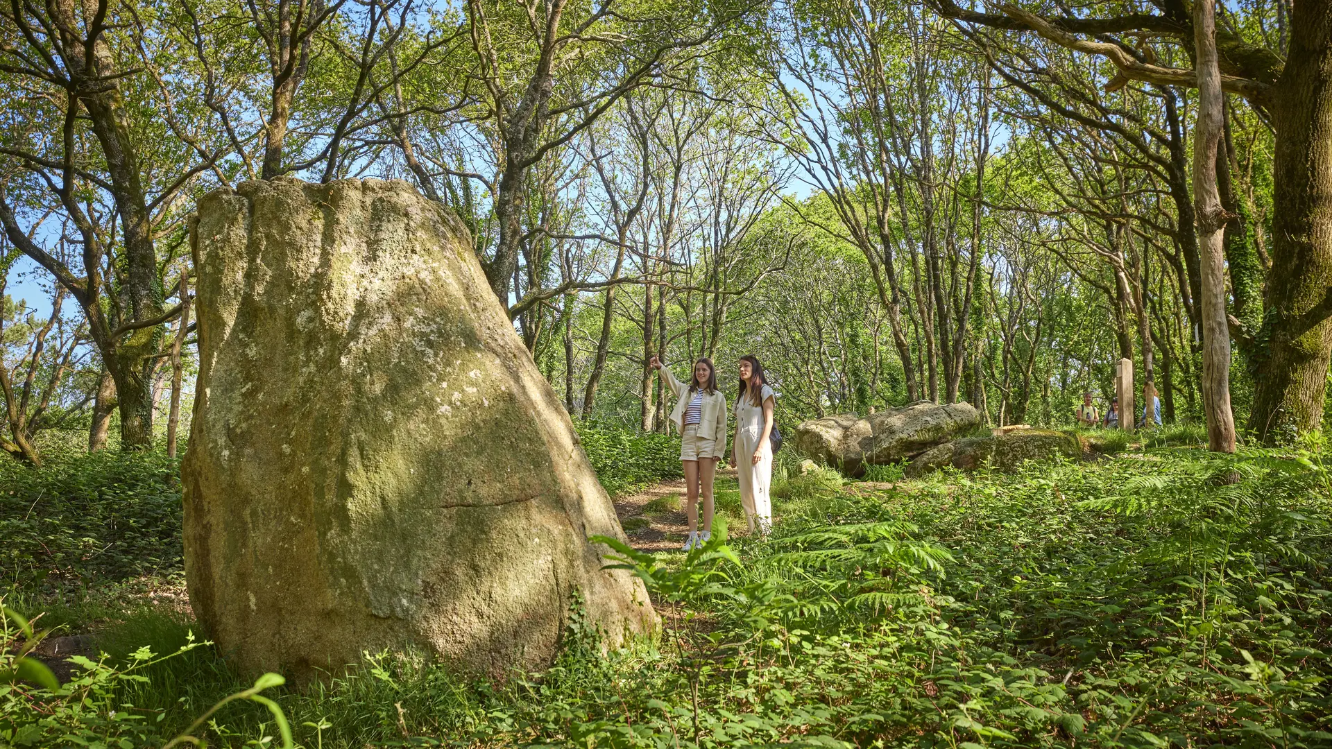 Menhirs Saint Kodelig à Plovan en Pays Bigouden