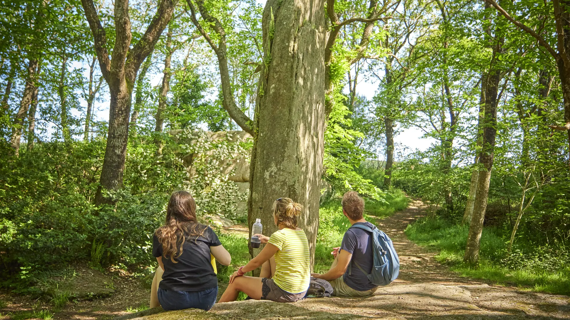 Menhirs Lespurit Ellen à Plovan en Pays Bigouden