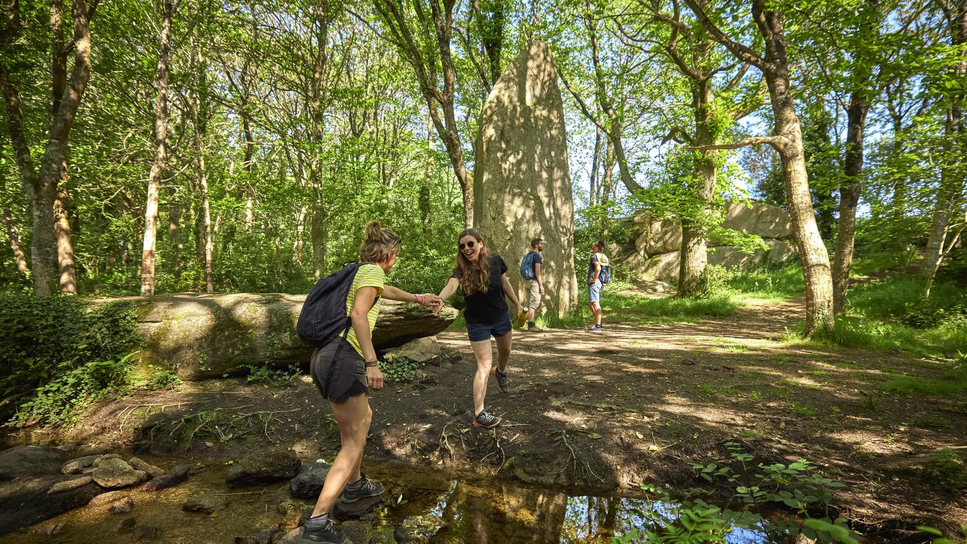Menhirs Lespurit Ellen à Plovan en Pays Bigouden
