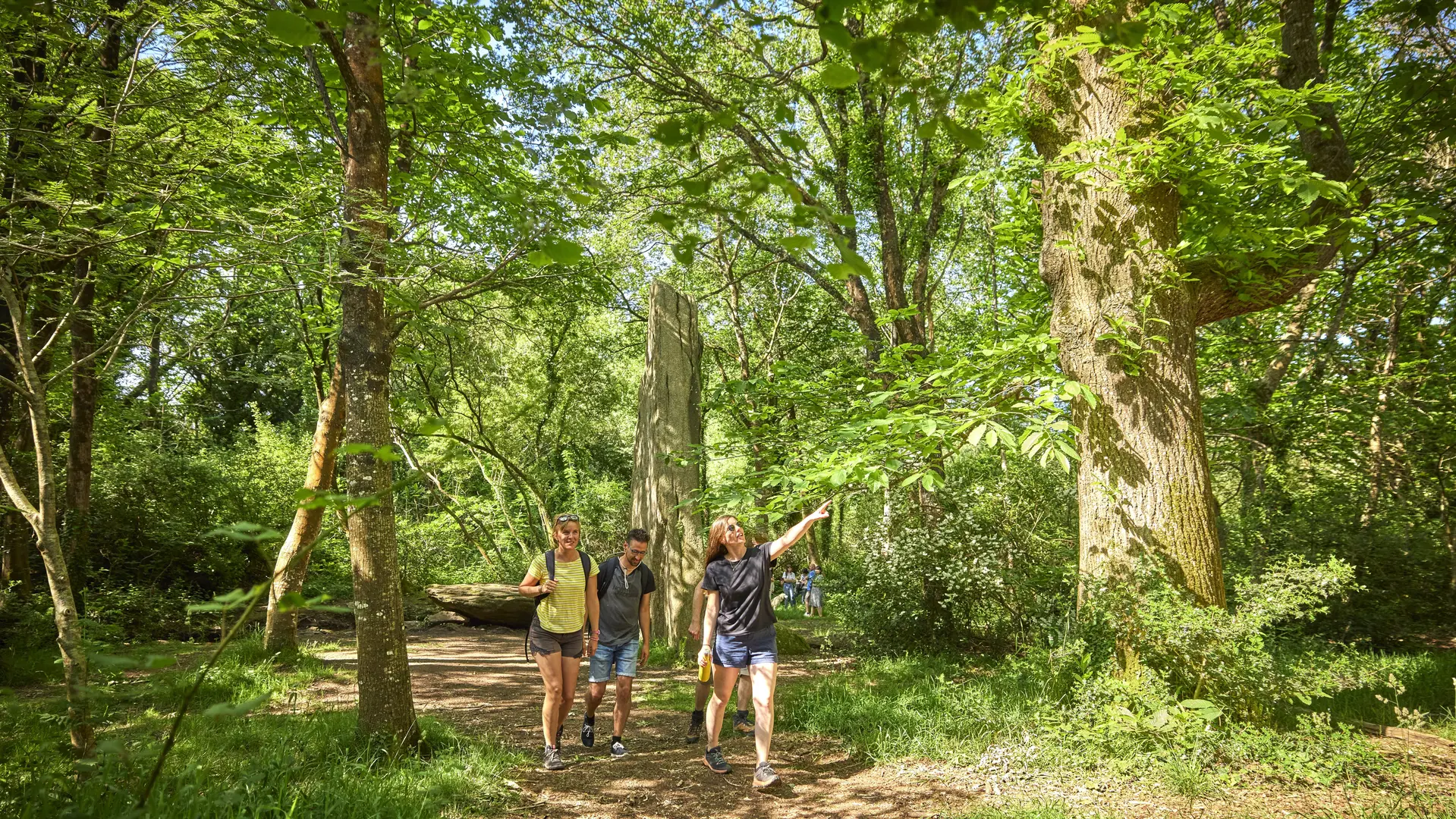 Menhirs Lespurit Ellen à Plovan en Pays Bigouden
