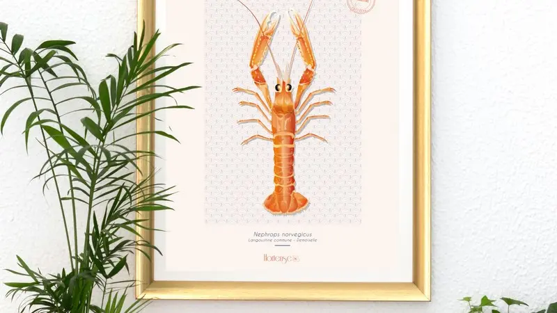 Hortense l'Atelier - Pont-l'Abbé - Pays Bigouden - Bigoudenjoy