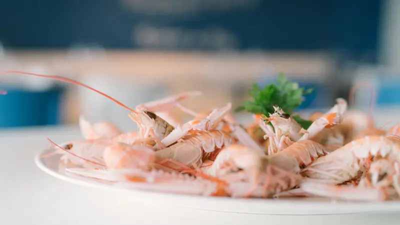 Le Bistrot du Bac - Sainte-Marine - Pays Bigouden - Bigoudenjoy