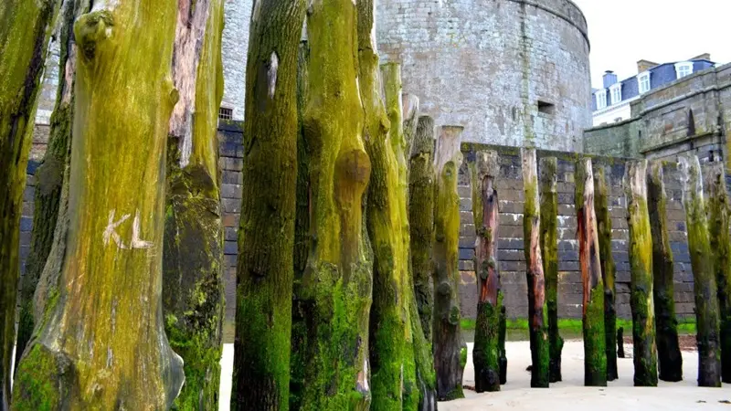 Balades Malouines, par Hugo BESNIER