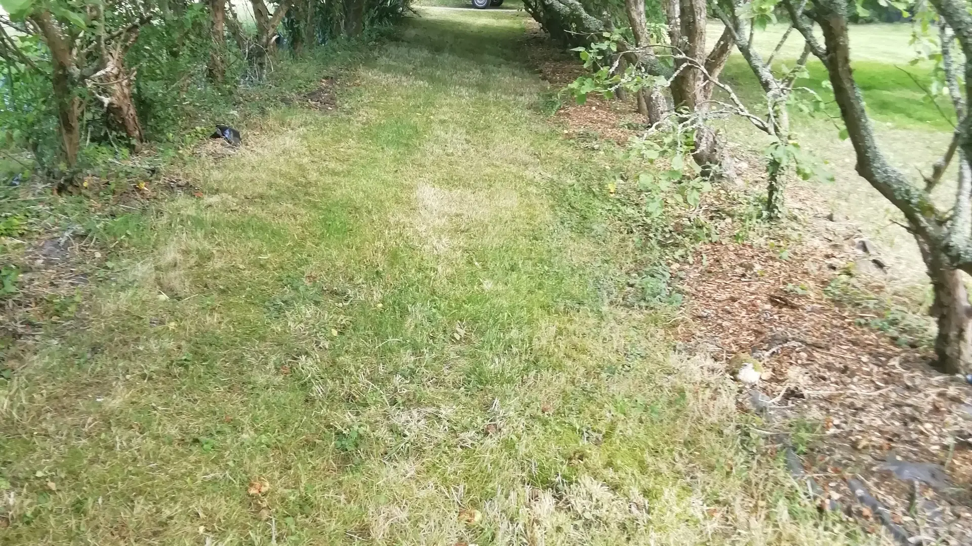 Cap Avalenn
