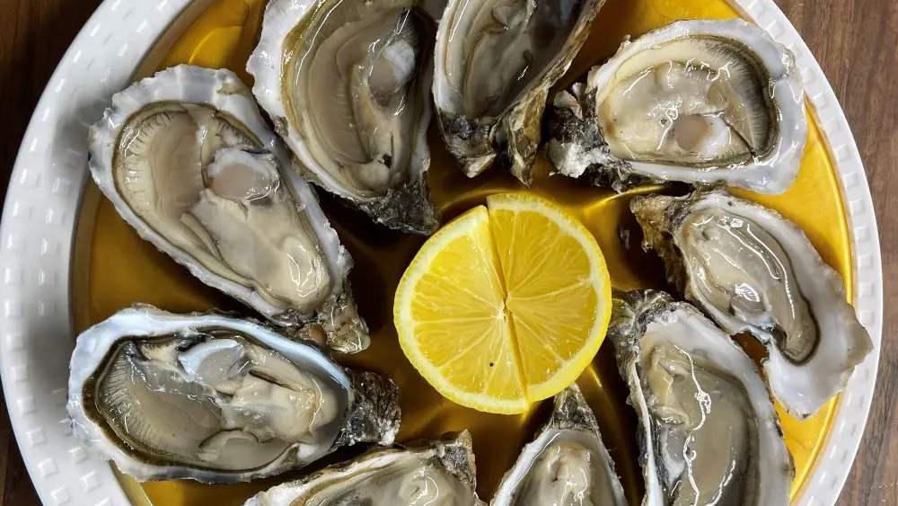 Les Rochers - Penmarch - Pays Bigouden