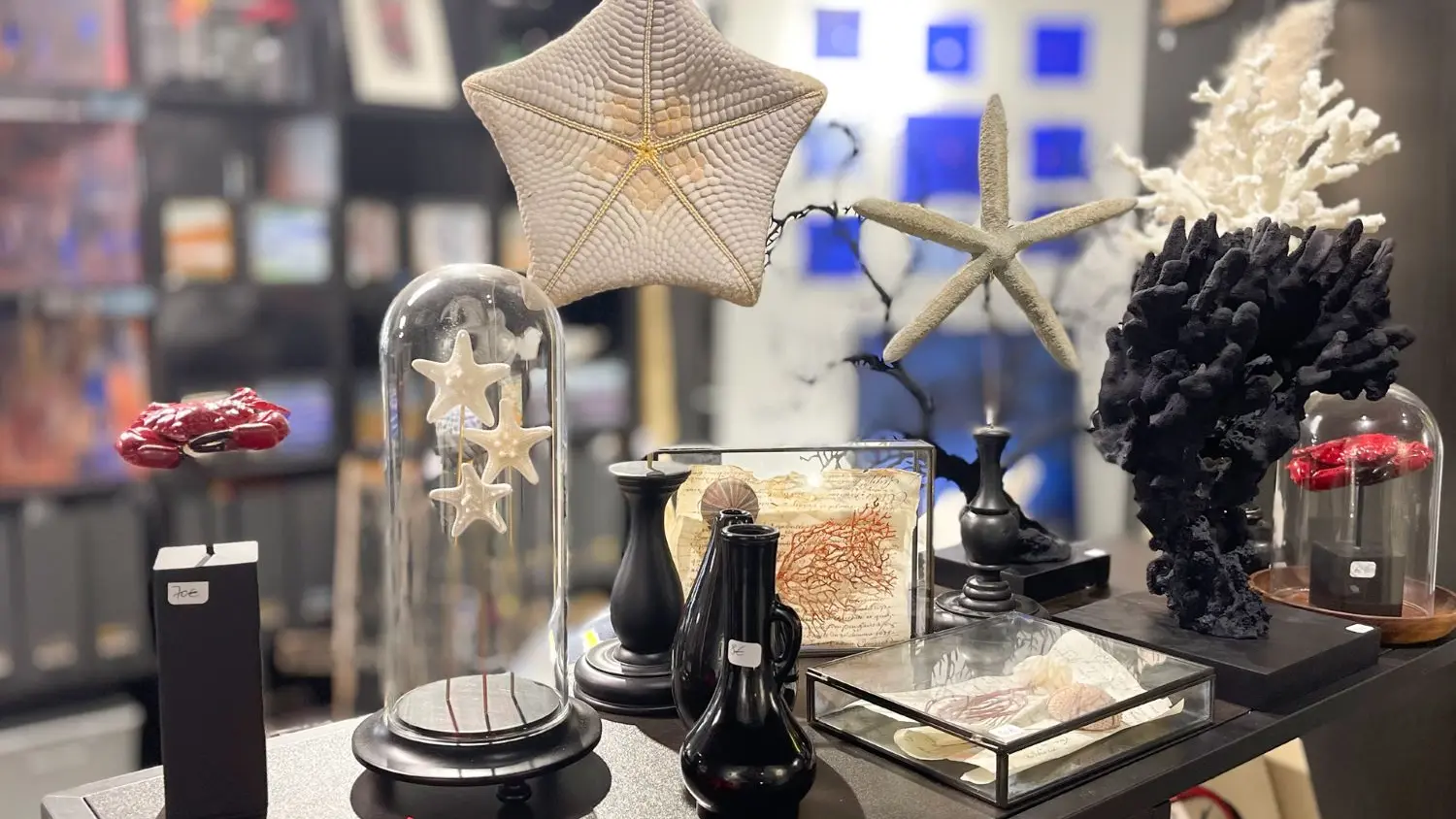 Galerie Padeker - Concept store - Guilvinec - Pays Bigouden - Bigoudenjoy