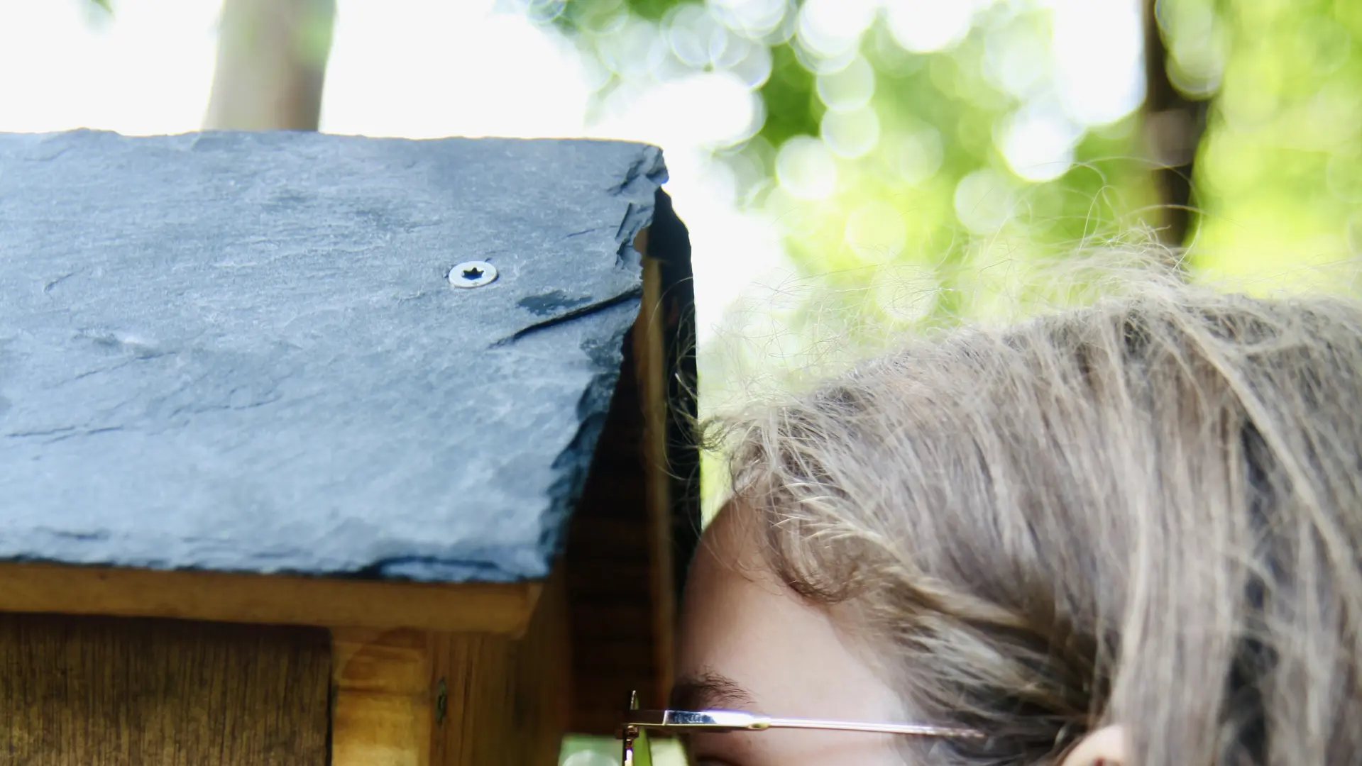 Sur les traces d'Heol le dragon - Sentier Sensoriel