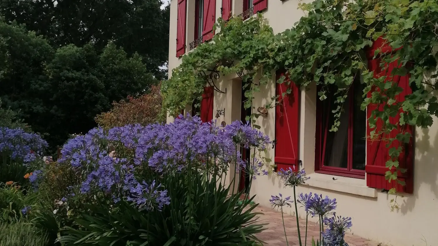Chambres d'hôtes La Prairie