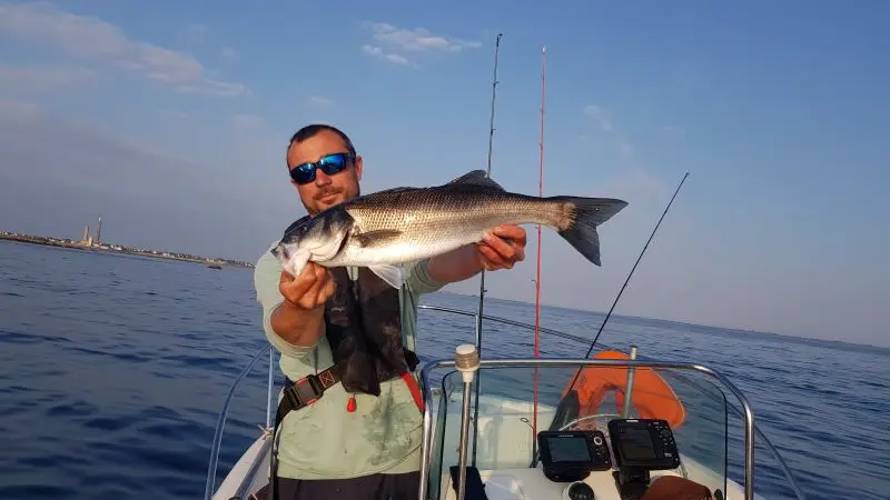 Joris Parpaillon - Guide de pêche - Pays Bigouden - Bigoudenjoy