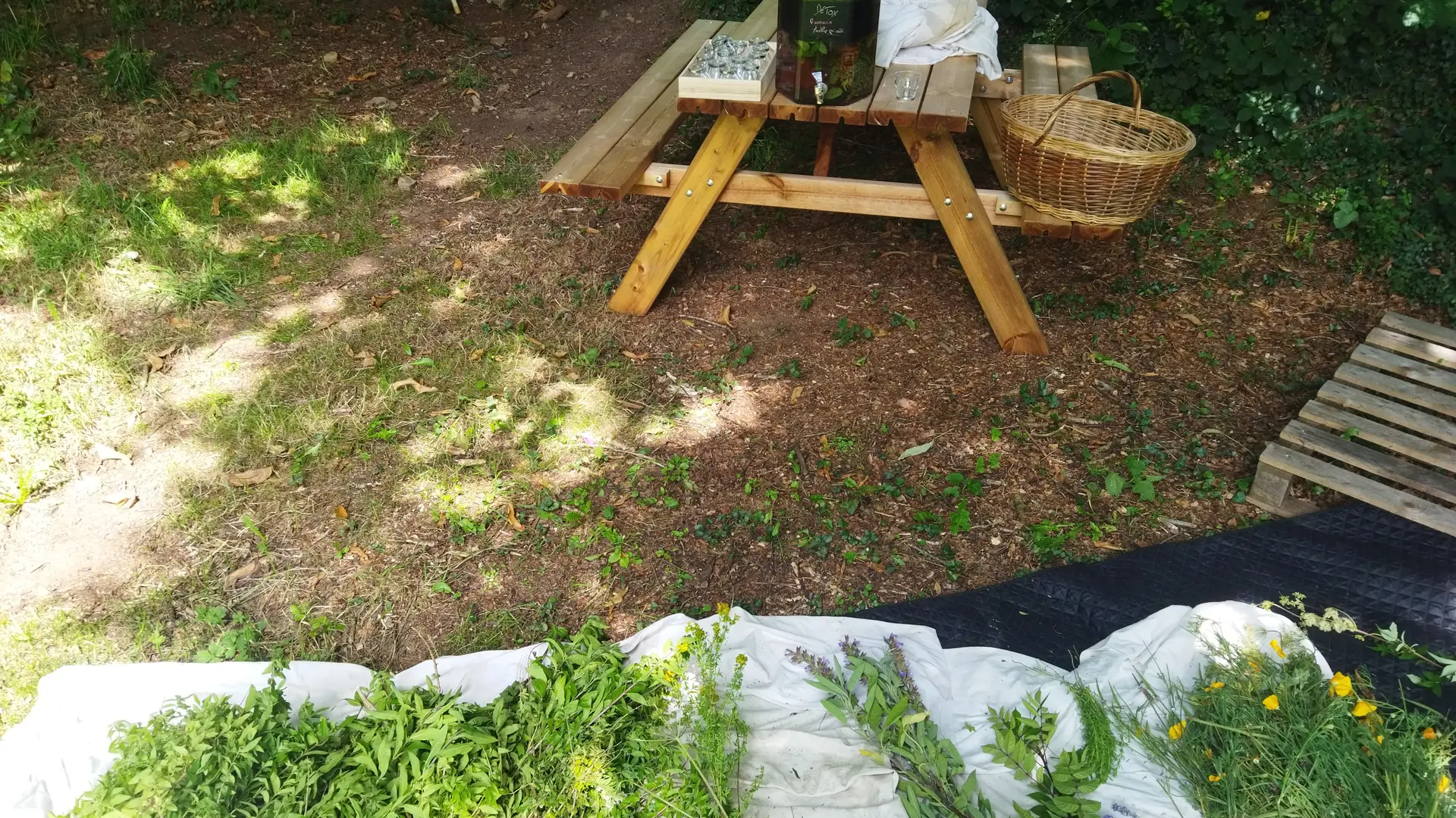 L'arpente - Plogastel Saint Germain - Pays Bigouden