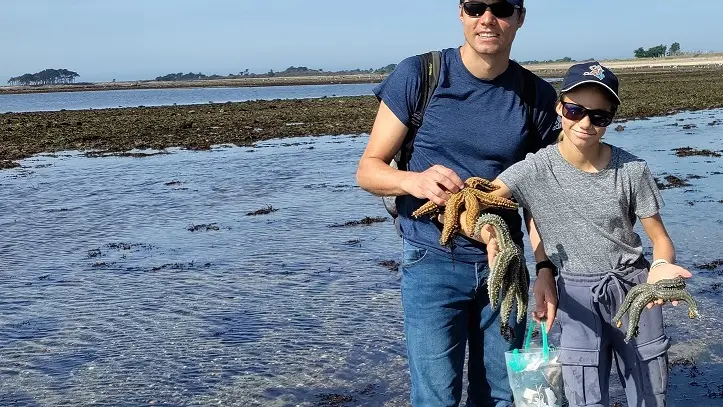 Sorties nature - Océonico - Pays Bigouden - Bigoudenjoy