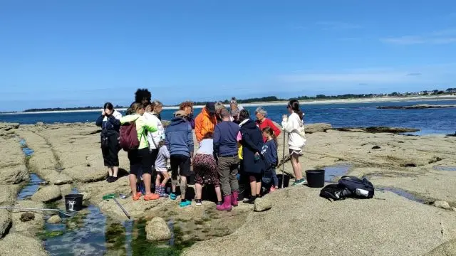 Sorties nature - Océonico - Pays Bigouden - Bigoudenjoy