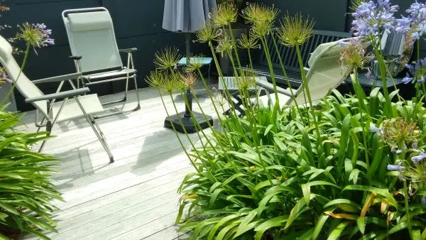 Location STEPHAN-DONNARD Nadia-Penmarch-PaysBigouden-Bigouden 8