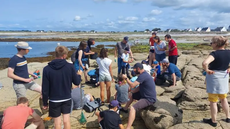 Sorties nature - Océonico - Pays Bigouden - Bigoudenjoy