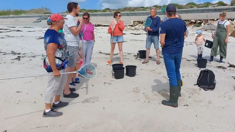 Sorties nature - Océonico - Pays Bigouden - Bigoudenjoy