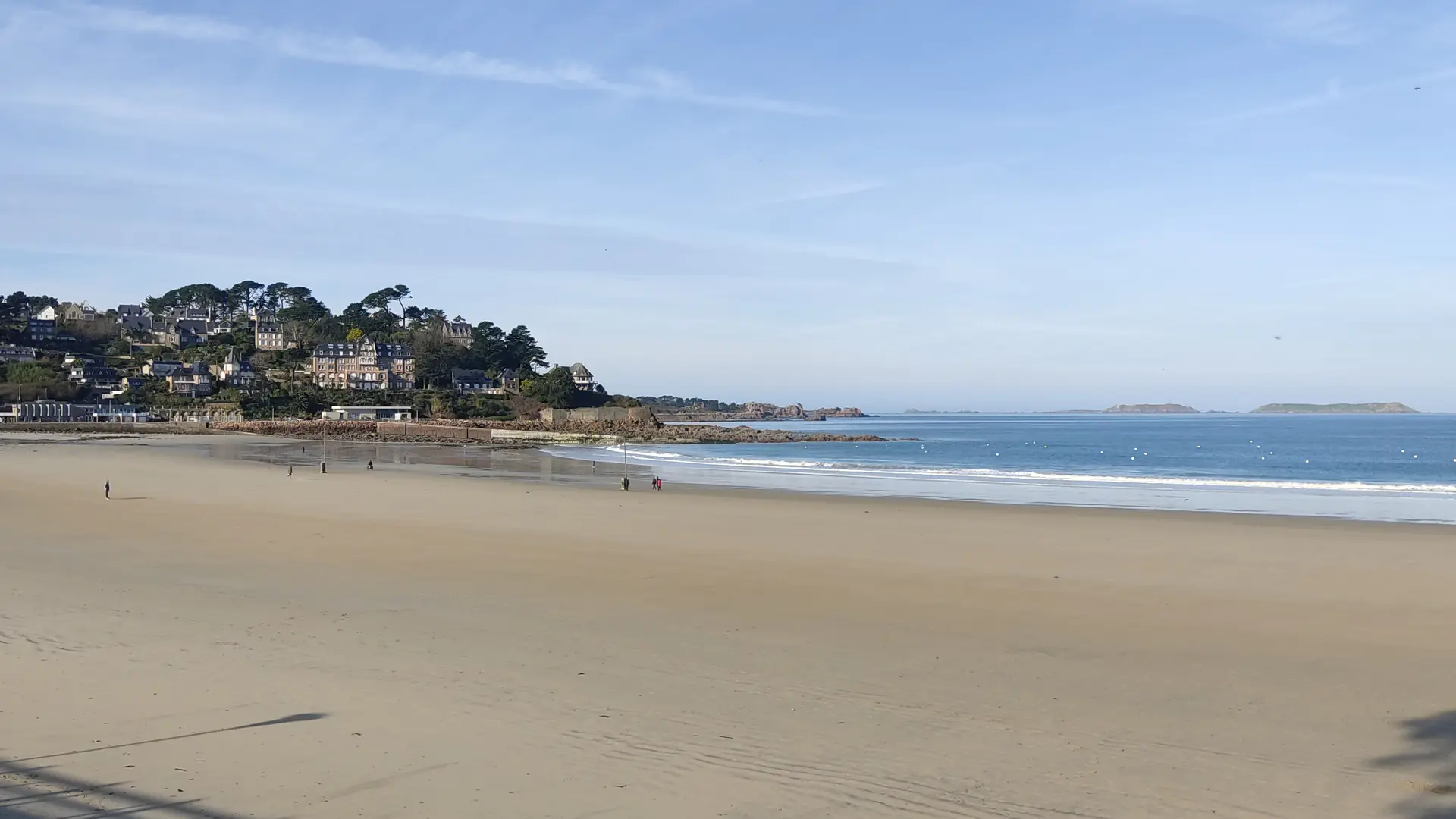 IMG_20240128_134945_1